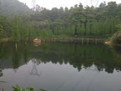 android_upload_pic-广州市帽峰山景区