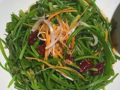 -菌自由丨野生菌火锅特色庭院餐厅(丽江古城店)