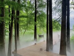 -东湖落雁景区