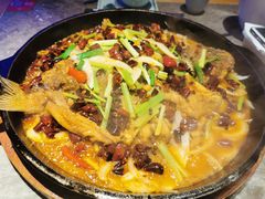 -老板恋上鱼(恒隆广场店)