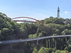-金鸡山公园