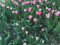 -长春公园(普阳街道)