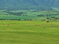 -库伦旗银沙湾旅游景区