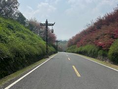 -宜兴龙背山森林公园