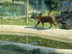 -泉州海丝野生动物世界