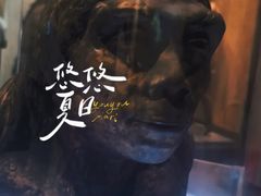 -天津自然博物馆