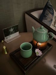 -VELEE·SPA高定疗愈会所