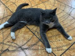 -咊记茅草棚柴火鸡(乌当店)