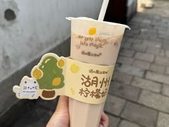 -猫的魔法密林(衣裳街店)