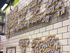 -MT麦如麦立送(五矿live店)