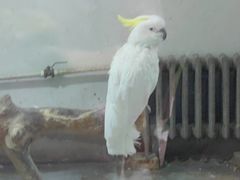 -青藏高原野生动物园