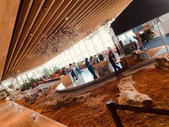 -Seesaw Coffee(朝阳大悦城店)