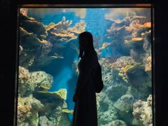 -福州罗源湾海洋世界旅游区