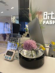 -时尚殿堂salon
