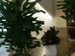 -澳门旅游塔360°旋转餐厅(南湾湖广场店)