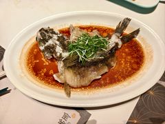 -新兴·金羊座·粤菜点心(乐峰店)