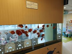 点击看大图 -杭州贝瑞斯美华妇儿医院·早孕·产检·儿科