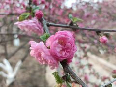 -北京西山国家森林公园