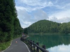 -武陵山森林公园