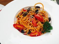 -百好乐宠物友好餐厅(朝外大街店)