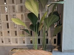 -喜马拉雅森(运河汇1958店)