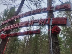 -北极村旅游风景区