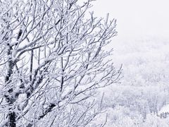-安吉龙王山风景区