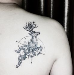 -明星刺青·洗纹身