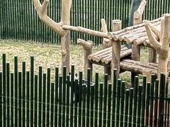 -沈阳森林动物园