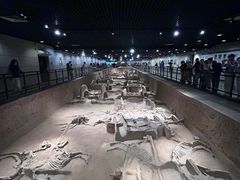 -洛阳周王城天子驾六博物馆