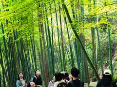 -径山寺