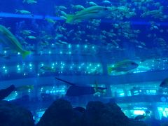 -成都浩海立方海洋公园