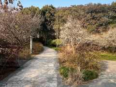 -昆山城市生态森林公园