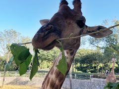 -石家庄市动物园