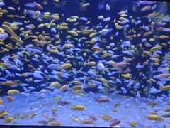 -成都浩海立方海洋公园