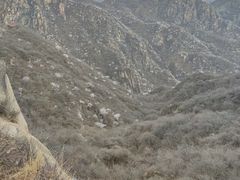 -大岭沟猕猴桃谷风景区