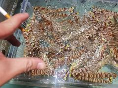 -阿伟海鲜楼·福建菜(延寿店)