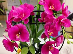 -北京市中关村医院