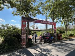 -上海长兴岛郊野公园