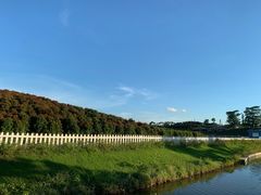 -迪茵湖田家舍生态农场