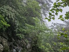 -安徽天堂寨风景区