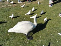 -银树楼(紫玉山庄东区店)