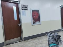 -美联众合动物医院·24h转诊中心
