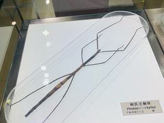 -上海昆虫博物馆