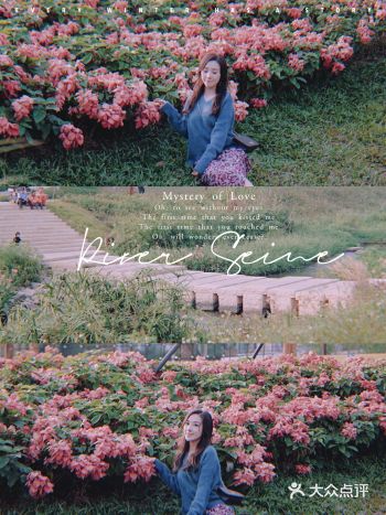 深圳️元拍照圣地️油画风"塞纳河畔" 大沙长廊