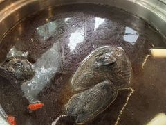-太婆天府山珍酒楼(亚运村店)
