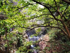-花溪风景区