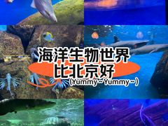 -蓬莱欧乐堡海洋极地世界