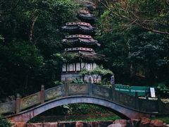 -深圳国际园林花卉博览园