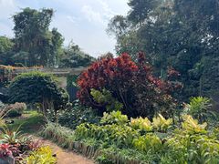 -中国科学院西双版纳热带植物园